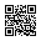QR CODE 86
