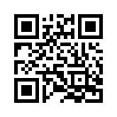 QR CODE 95