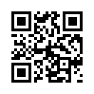 QR CODE 110