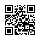QR CODE 119
