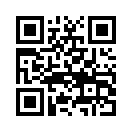QR CODE 243