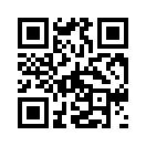 QR CODE 294