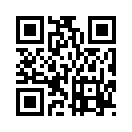 QR CODE 311