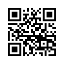 QR CODE 312