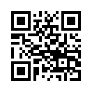 QR CODE 317