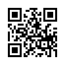 QR CODE 329