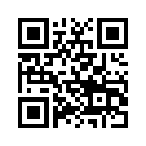 QR CODE 337