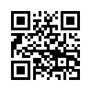 QR CODE 377
