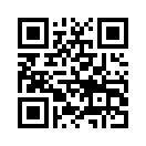 QR CODE 461