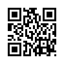 QR CODE 493