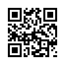 QR CODE 494