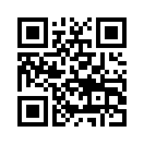 QR CODE 496