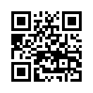 QR CODE 499