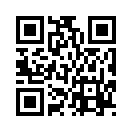 QR CODE 501