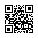 QR CODE 519