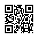 QR CODE 529