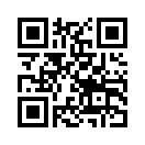 QR CODE 53