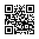 QR CODE 593