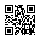 QR CODE 599