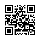 QR CODE 619