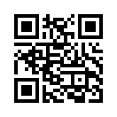 QR CODE 213