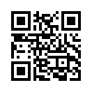 QR CODE 219