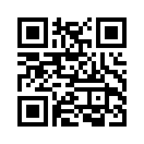 QR CODE 221