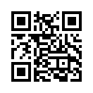 QR CODE 233