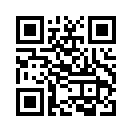 QR CODE 53