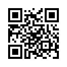 QR CODE 462