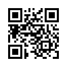 QR CODE 513