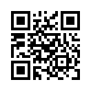 QR CODE 544