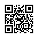 QR CODE 785