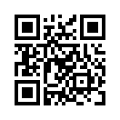 QR CODE 868