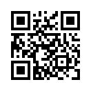 QR CODE 891