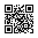 QR CODE 896