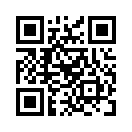 QR CODE 910