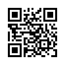 QR CODE 913