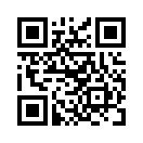 QR CODE 917