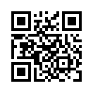 QR CODE 919
