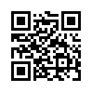 QR CODE 263