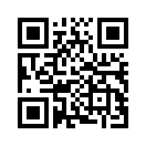 QR CODE 133