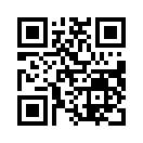 QR CODE 110
