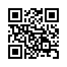 QR CODE 31