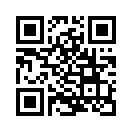 QR CODE 46
