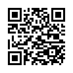 QR CODE 115