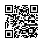 QR CODE 13