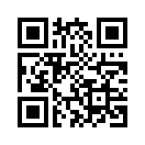 QR CODE 133