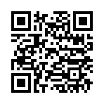 QR CODE 31