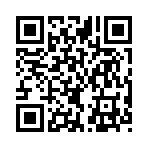 QR CODE 42